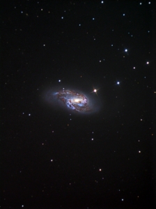 M66